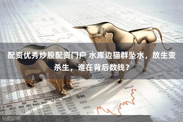配资优秀炒股配资门户 水库边猫群坠水，放生变杀生，谁在背后数钱？